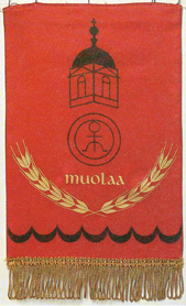 Viiri